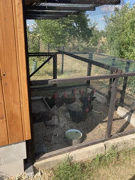 Venčení pro slepice s mřížovím a krmítkem