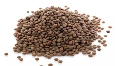 Red lentils pile