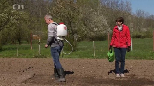 Dva zahradníci aplikují ochranu na půdu v zahradě.