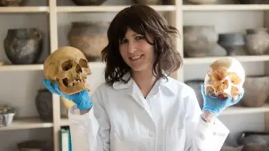 Žena v laboratorním plášti drží dva lidské lebky.