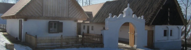 Tradiční domy s doškovými střechami v české vesnici.