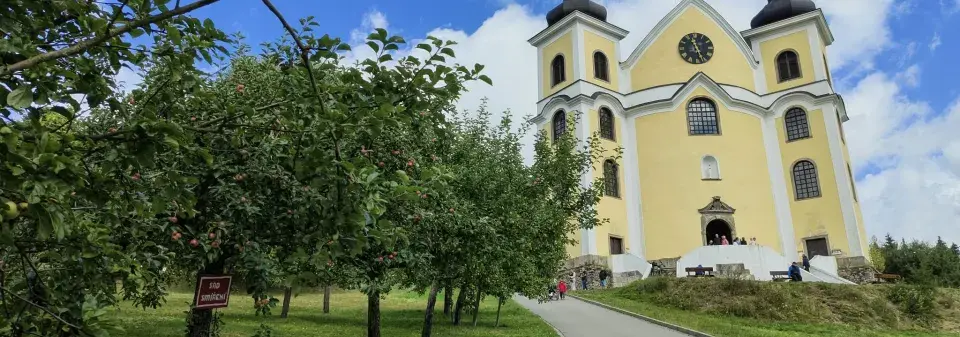 Žlutý kostel za ovocnými stromy v zahradě.