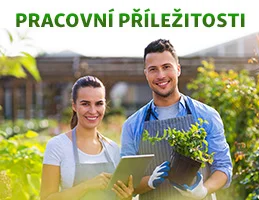 Muž drží hortenzii v květináči vedle ženy s tabletem.