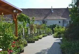 Cestou zahradou s rostlinami pod dřevěnou střechou.
