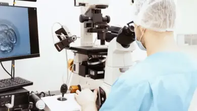 Microscope and embryo monitoring