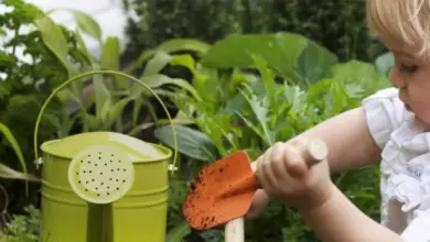 Dětské zahrádkářství s hrnkem na vodu a kypřičem mezi zeleninou.
