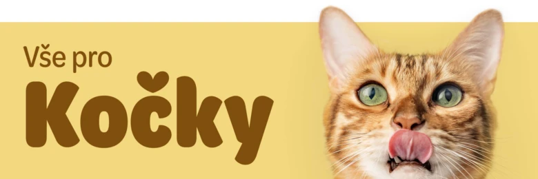 Přiblížená kočka lížoucí si pysk na žlutém pozadí.
