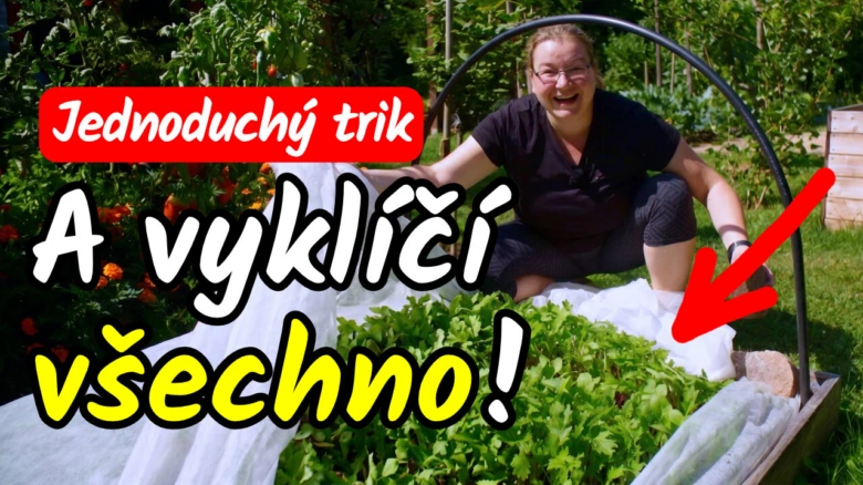 Žena se usmívá vedle zahradního lůžka s listovými zeleninovými plodinami.