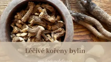 Suché kořeny v dřevěné mísce s bylinkami na stole.