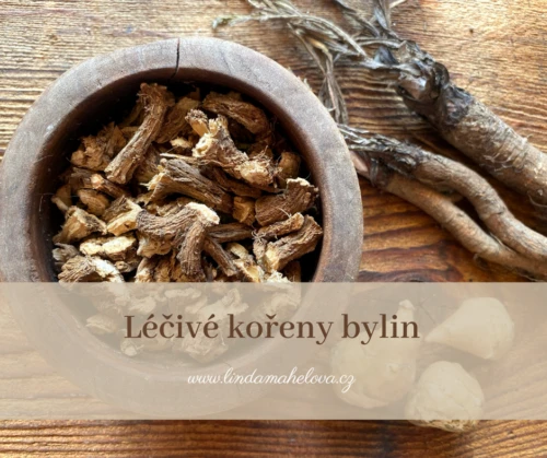 Suché kořeny v dřevěné mísce s bylinkami na stole.