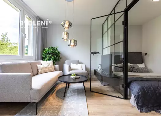 Modernizovaný interiér obývacího pokoje s pohovkou a oddělenou ložnicí.