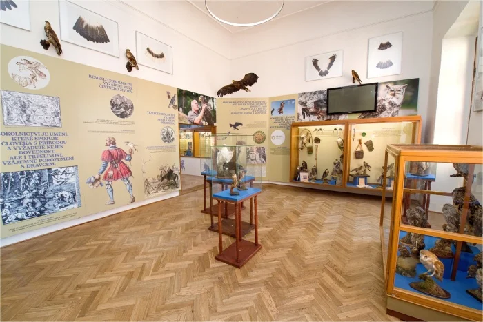 Výstava v muzeu s taxidermií a informační panely.