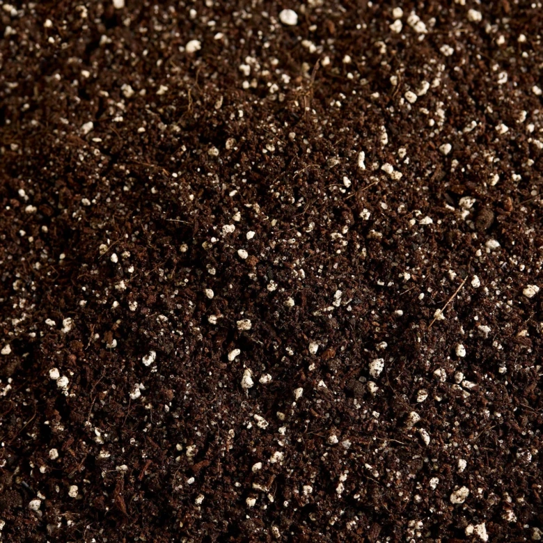 Soil with perlite